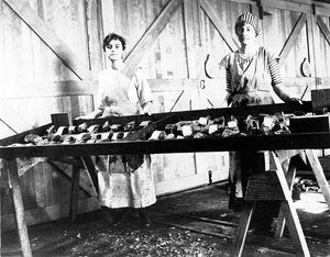 1916년 벨링햄의 왓컴 수산물 회사에서 훈제기에 담을 연어를 자르는 노동자들. 존 네이선 코브의 사진.