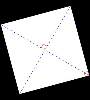 정사각형의 성질