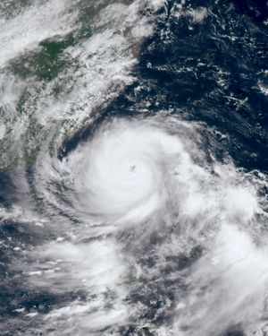 2023년 태풍 하이쿠이