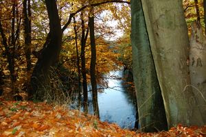 스웁스크를 관통하는 스웁스크 강