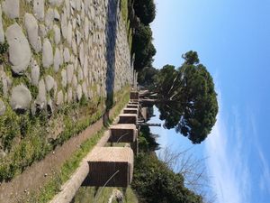 오스티아의 옛 입구