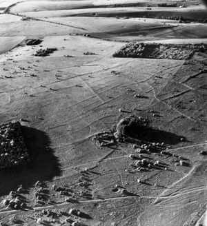 파이필드 다운 구릉지의 켈트인 농지 유적