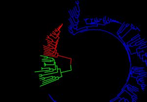 생물의 세 도메인에서 갈라진 생물의 공통 조상을 나타낸 계통수. 세균은 푸른색, 진핵생물은 붉은색, 고균은 초록색으로 표시되어 있다.