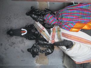 무릎 위에 배우자를 앉힌 바라하. 순다라바라다 페루말 사원(비슈누에게 헌정된 사원)에서 보조 신으로 숭배된다.