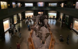 아프리카 포유류 아키리 홀