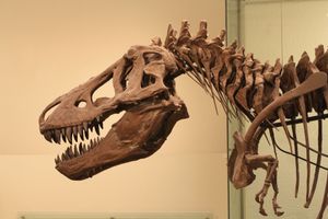 티라노사우루스 렉스(Tyrannosaurus rex) 홀에 있는 수각류 공룡(Hall of Saurischian Dinosaurs)