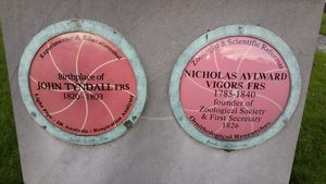 리글린브리지의 틴들 기념 명판