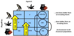 평가자 전략이 추가된 매-비둘기 게임의 보수 행렬. 평가자는 상대를 평가하여 약한 상대를 만나면 매처럼, 강한 상대를 만나면 비둘기처럼 행동한다. 평가자는 매와 비둘기 개체군 모두에 침투할 수 있고, 매 또는 비둘기 돌연변이의 침투를 견딜 수 있어 ESS가 된다.