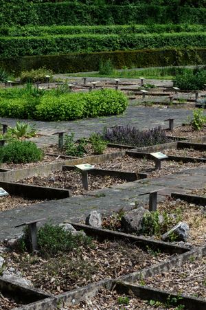 캠퍼스 내 약용 식물 정원 UCLouvain 브뤼셀 울루베.