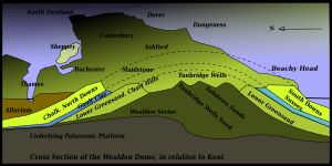 켄트주의 지질 단면도로 주요 도시와의 관계를 보여준다