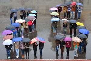 루마니아 활동가들이 유엔의 세계 인권 선언 25조를 언급하며 우산으로 "25"를 만들고 있다.