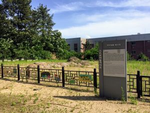 경상 누층군에 발달한 경산 대구 가톨릭대학교 스트로마톨라이트