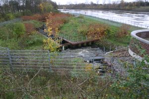 브레멘, 베저강 댐의 어도