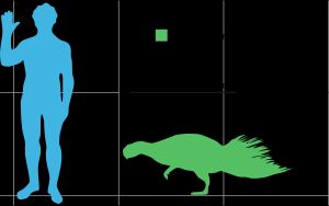 P. 몽골리엔시스와 사람의 크기 비교