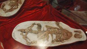 배 속에서 프시타코사우루스의 잔해가 발견된 레페노마무스 로부스투스의 표본