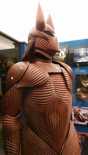 코폴라의 캘리포니아 와이너리에 전시된 드라큘라의 갑옷