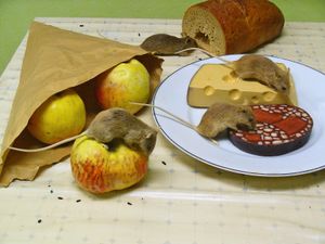 쥐의 침입. 박제 전시, 카를스루에 국립 자연사 박물관, 독일.