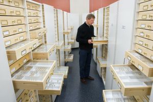 뉴질랜드 링컨 대학교의 곤충학 연구 컬렉션, 큐레이터 존 매리스