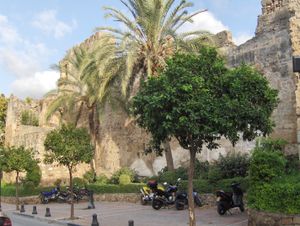 마르베야의 무어 방어벽