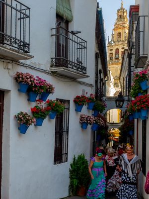 배경의 대성당과 함께하는 Calleja de las Flores