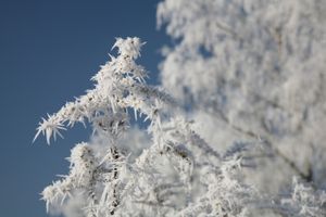 표면 서리(hoarfrost)가 나중에 내린 눈에 덮인 후, 덮인 서리 층은 상층이 미끄러질 수 있는 약한 층이 될 수 있다.