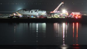 잔해 제거 작업