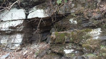 봉화군 재산면 갈산리 묘곡층