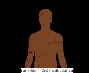 인간에게 적용될 수 있는 줄기세포의 다양한 쓰임새.
