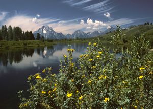 스네이크 강의 옥스보우 벤드(Oxbow Bend).