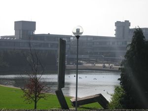 UCD 벨필드 캠퍼스에 있는 티어니(행정) 빌딩과 뉴먼(예술) 빌딩.