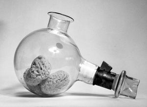 윌리엄 모턴이 1846년 10월 16일 매사추세츠 종합 병원에서 사용한 에테르 흡입기 장치의 재현품이다.