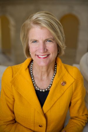 캐피토 의회 사진(2013년)