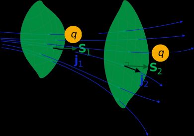 플럭스 또는 플럭스 밀도의 그림, \mathbf{j}_1 및 \mathbf{j}_2는 양 q가 열린 표면 S_1 및 S_2를 통과하는 것을 나타낸다. (벡터 \mathbf{S}_1 및 \mathbf{S}_2는 무한소 면적 요소로 미분될 수 있는 벡터 면적을 나타낸다).