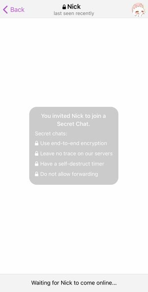 텔레그램의 "비밀 대화" 확인 알림 - iOS 16에서 가져온 스크린샷