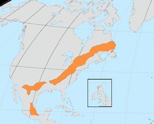 그렌빌 조산운동 동안 로렌시아에 추가된 육지