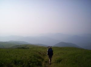 노스캐롤라이나주와 테네시주의 경계에 걸쳐 있는 로언 하이랜드의 초원