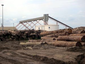 푸앵트누아르 항구에서 수출되는 목재