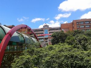 다화 과기대학교