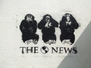 개인들은 인지 부조화와 정신적 부조화를 피하기 위해 미디어 선택을 맞춤화한다.