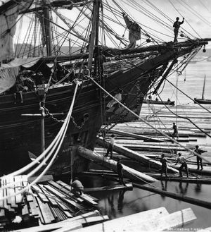 1872년 퀘벡 항구에서 사각 목재를 돛단배에 싣는 모습