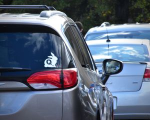 하얀 토끼를 모티브로 한 QAnon의 로고. 이는 "이상한 나라의 앨리스의 하얀 토끼를 따라가세요"라는 "Q"의 발언을 기반으로 하며, "인터넷에서 음모론을 조사하여 숨겨진 '진실'을 발견하라"는 것을 암시하고 있다.