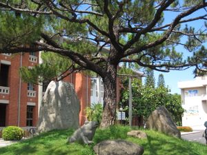 타이난 대학교 캠퍼스