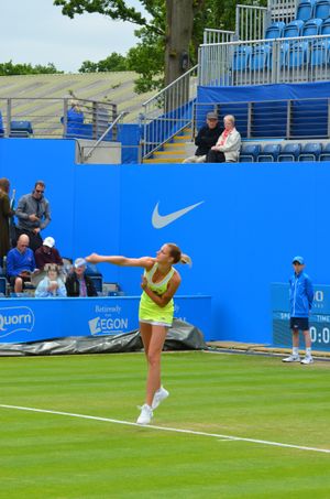 플리스코바의 서브