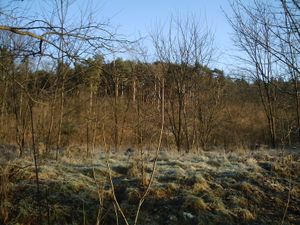 쿠흐그룬트 협곡, 러시아군과 프로이센군의 격전지