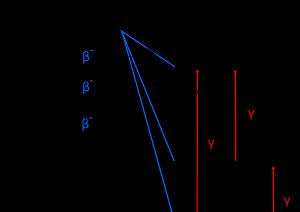 198Au의 붕괴 도식