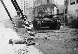 조국은 누구의 것인가