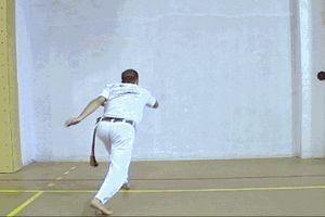 징가의 일부를 묘사하는 간단한 애니메이션