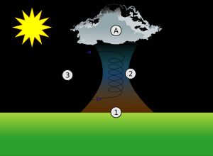열기류에서 상승하는 글라이더.