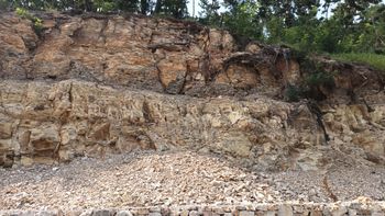 포항시 여남동 포항해상스카이워크 부근 바닷길에 드러난 여남층 노두. 포항 분지의 지층에서는 신생대 마이오세의 화석들이 많이 산출된다.