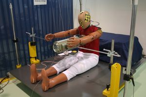 충돌 시험 더미에서 얻은 데이터는 생체역학 분야에 필수적이다.